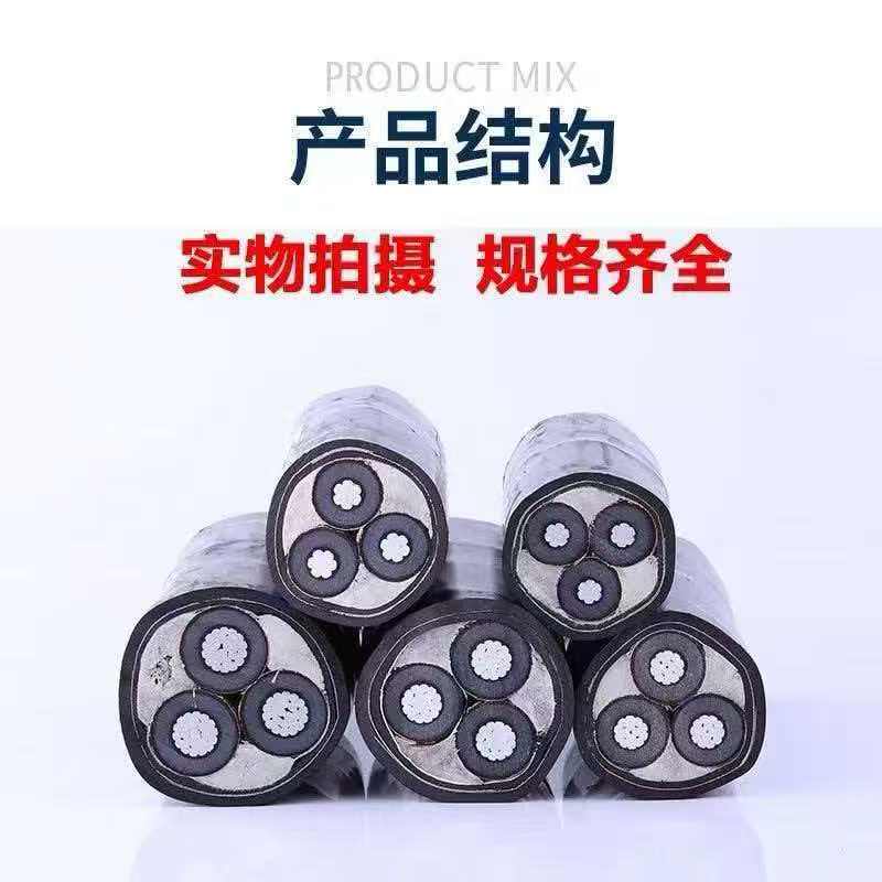 Cáp điện lực ruột nhôm YJLV22 22/35kV 1 image031